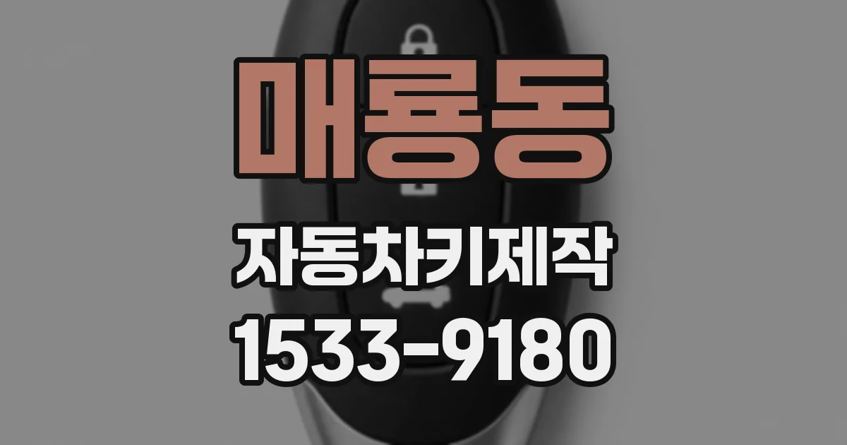 매룡동 자동차키제작