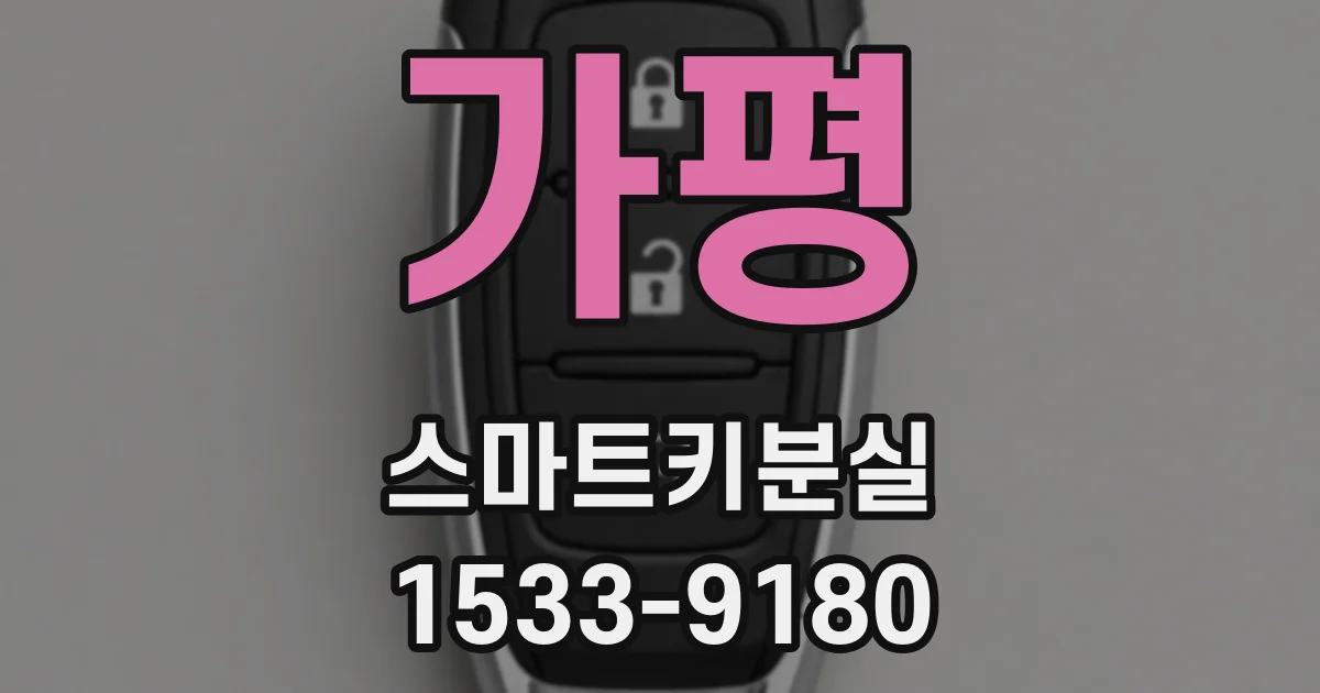 가평 스마트키분실
