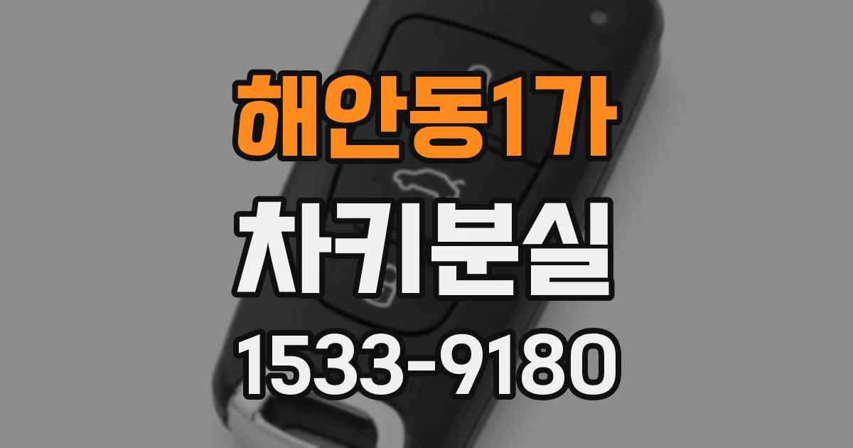 해안동1가 차키분실