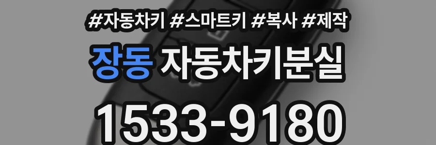 장동 자동차키분실