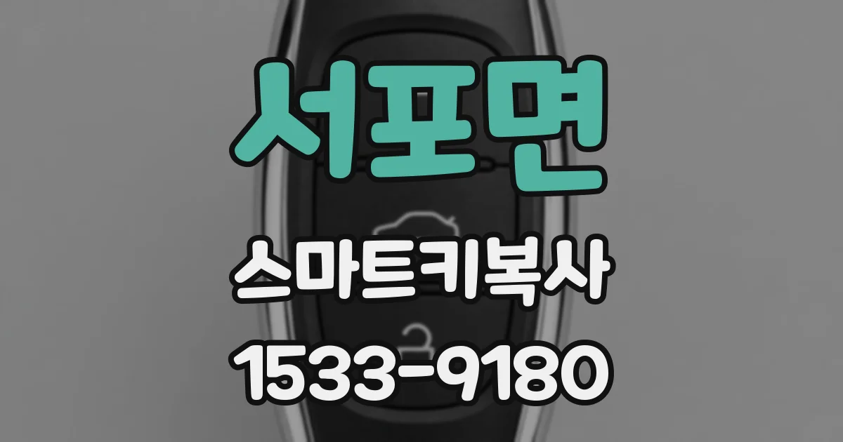 서포면 스마트키복사