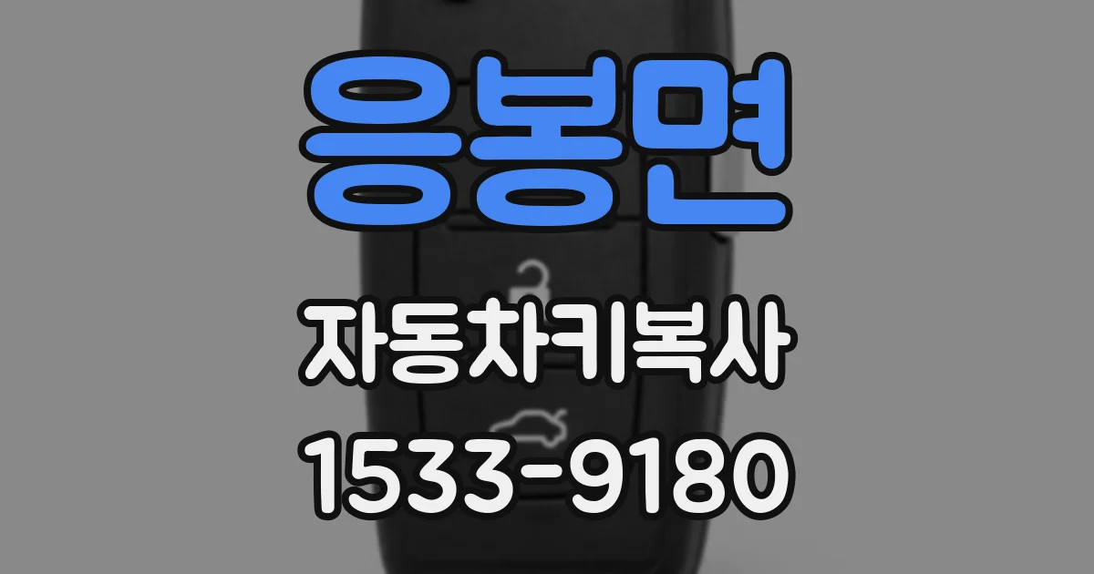 응봉면 자동차키복사