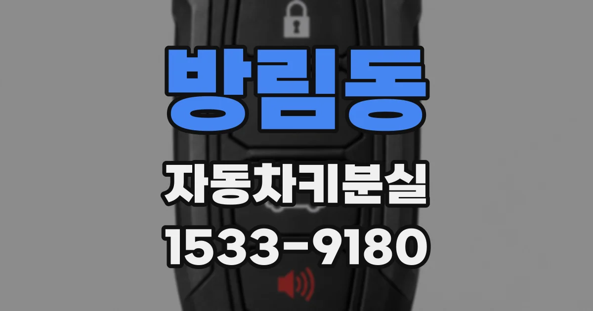 방림동 자동차키분실