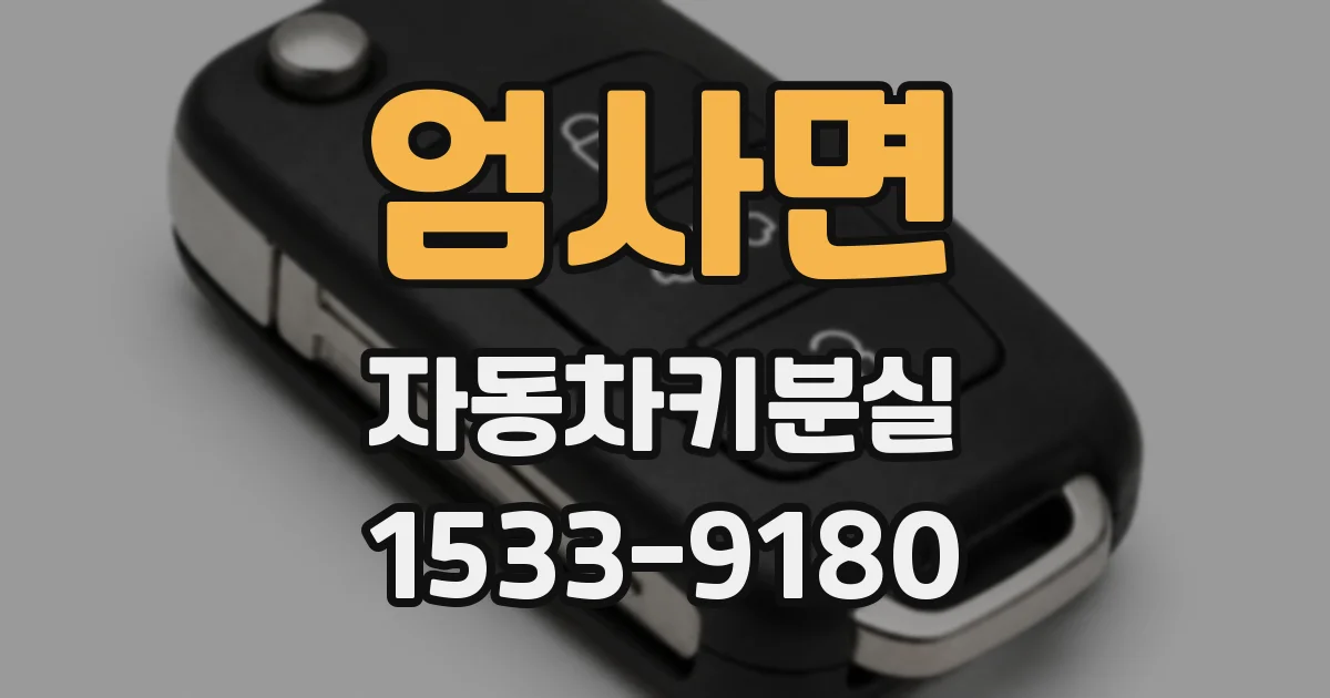 엄사면 자동차키분실