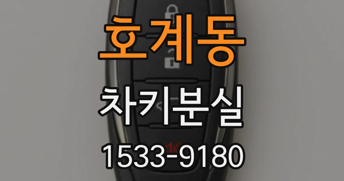 호계동 차키분실