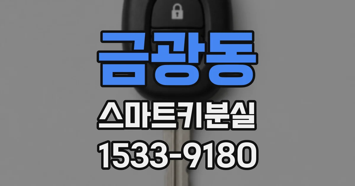 금광동 스마트키분실