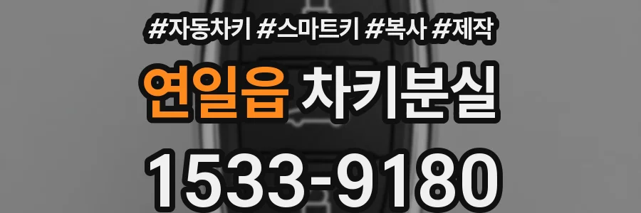 연일읍 차키분실