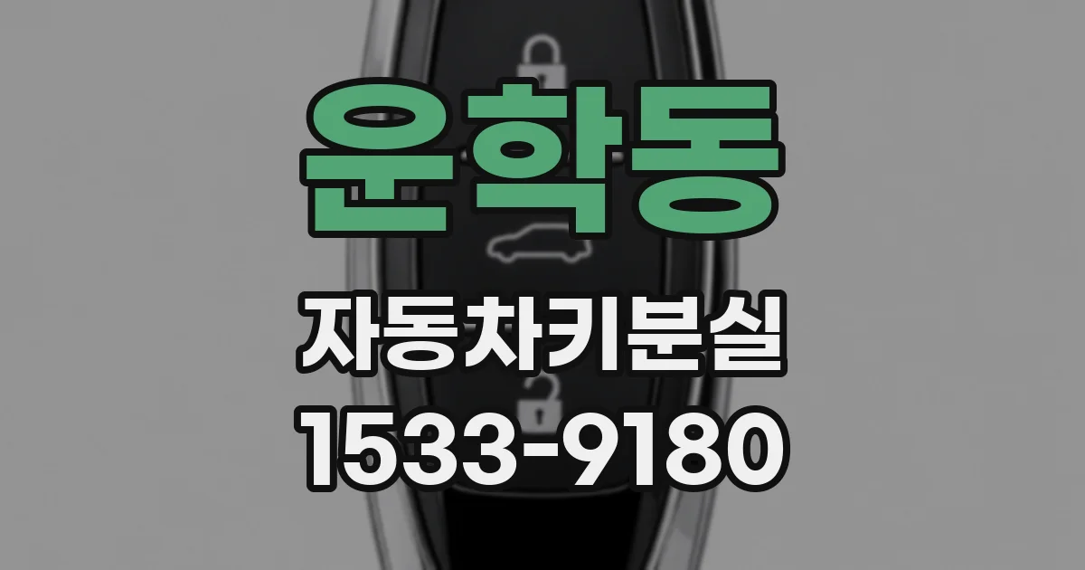 운학동 자동차키분실