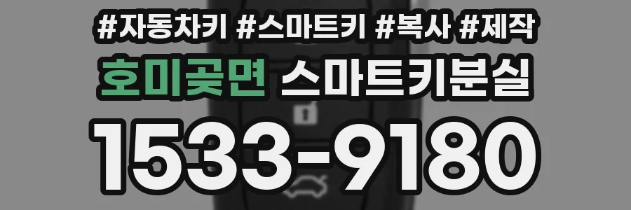 호미곶면 스마트키분실