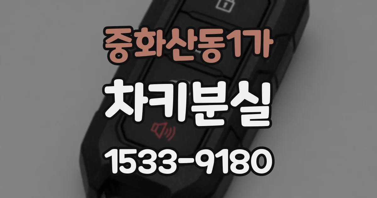 중화산동1가 차키분실
