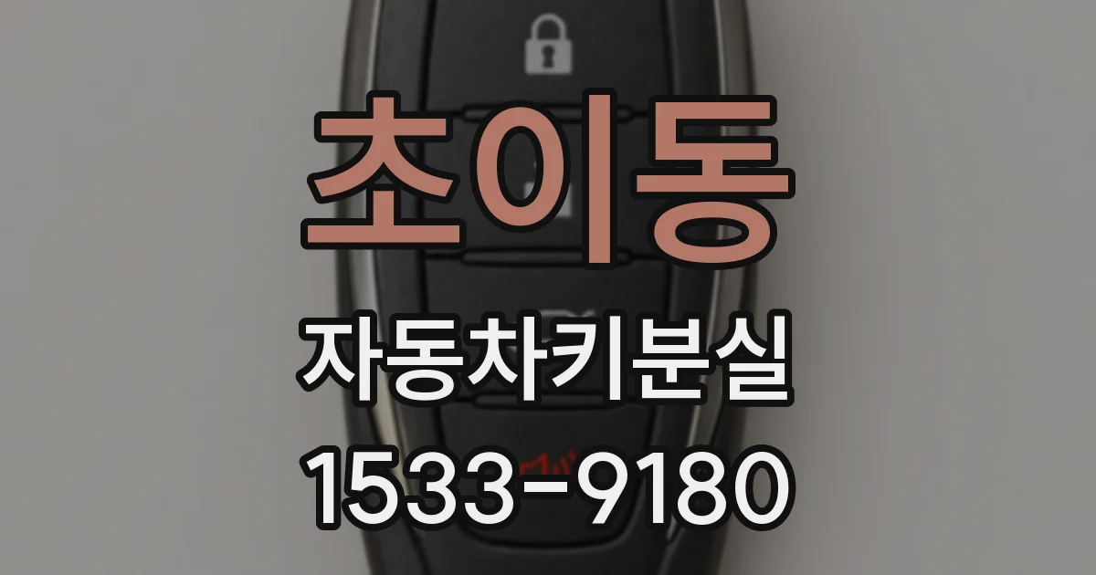 초이동 자동차키분실