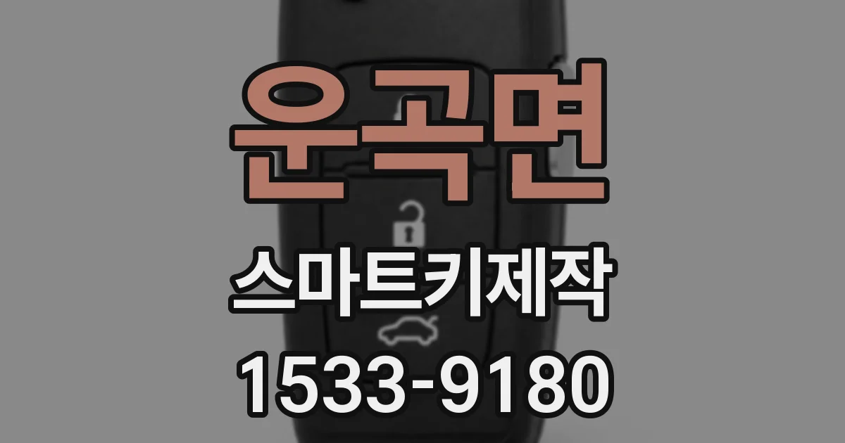 운곡면 스마트키제작