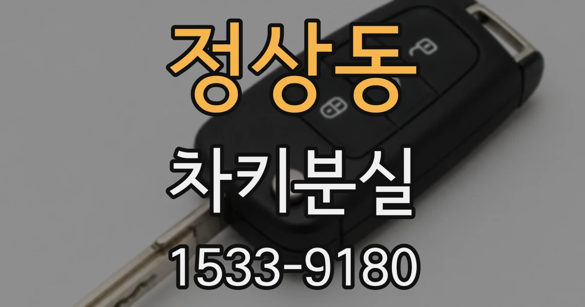정상동 차키분실