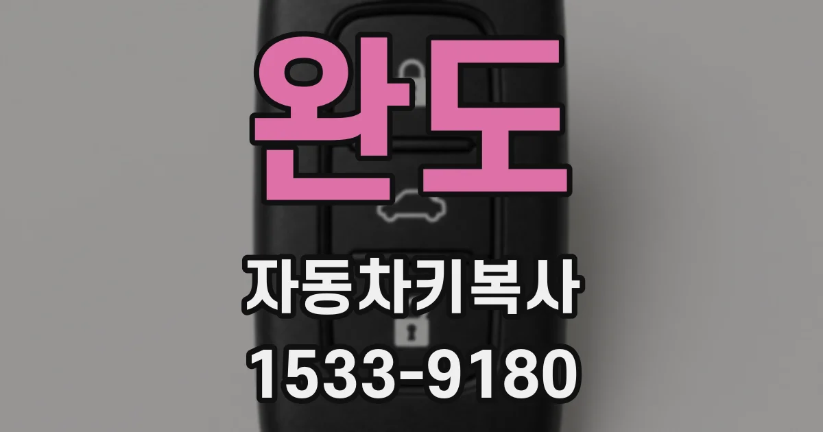 완도 자동차키복사
