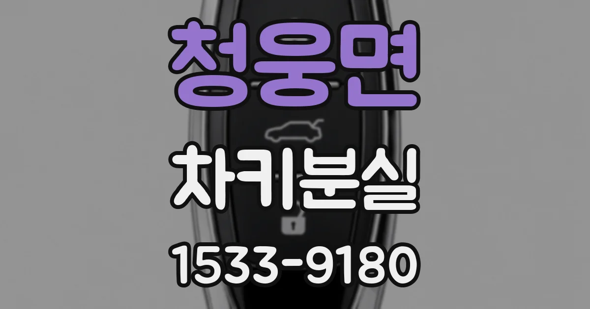 청웅면 차키분실