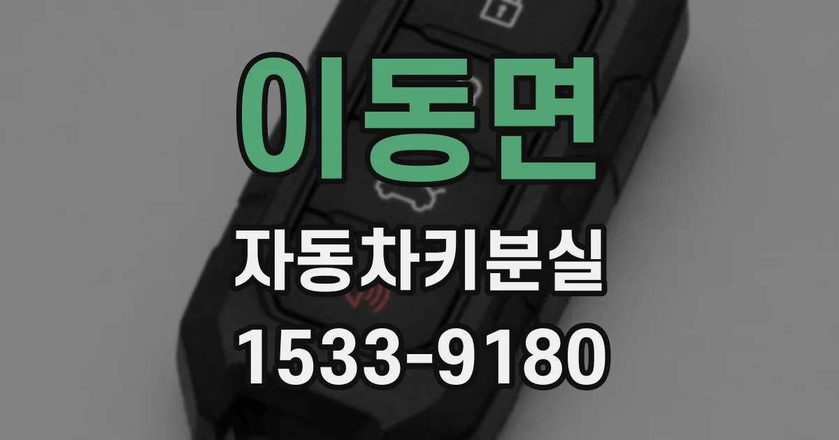 이동면 자동차키분실