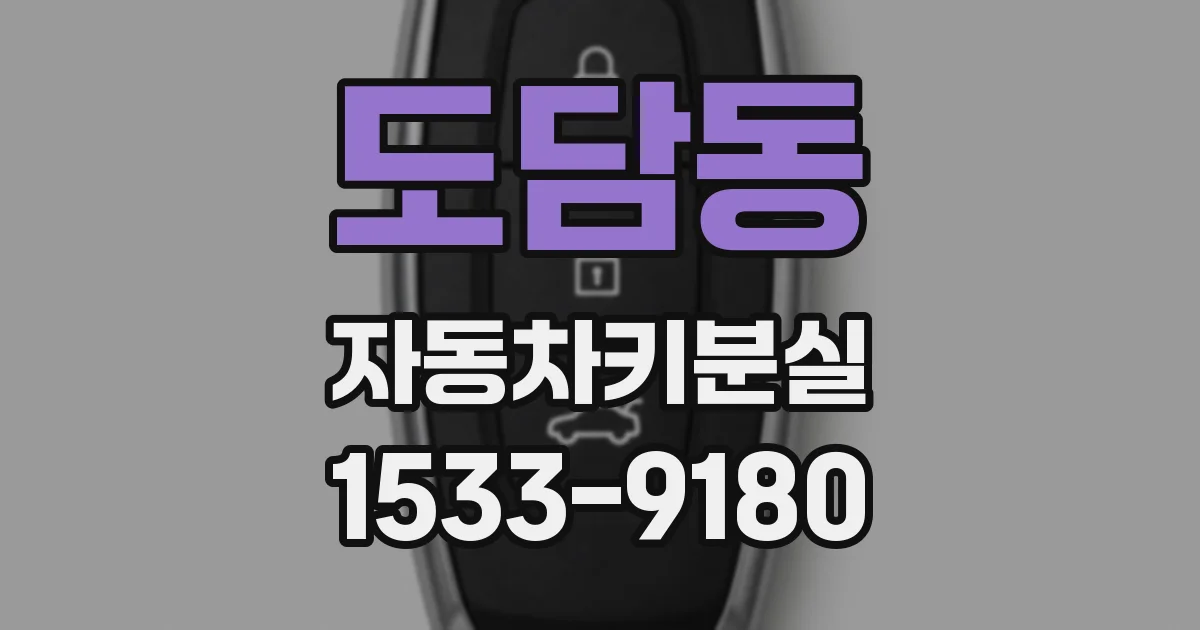 도담동 자동차키분실