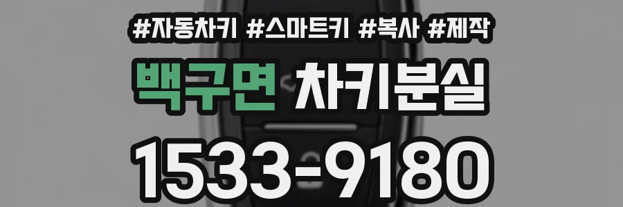 백구면 차키분실