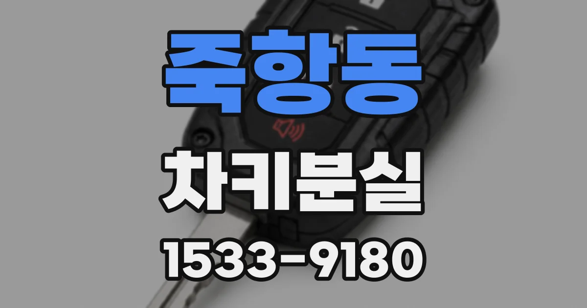 죽항동 차키분실