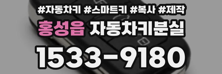 홍성읍 자동차키분실
