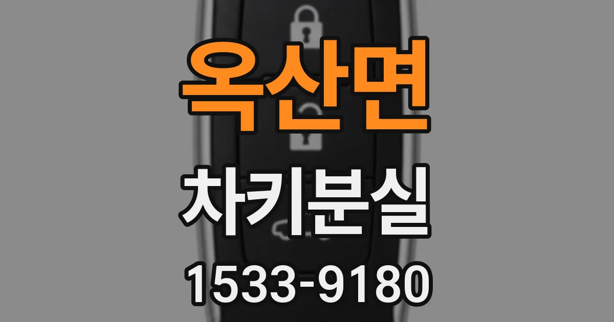 옥산면 차키분실
