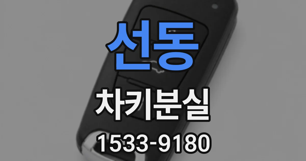 선동 차키분실
