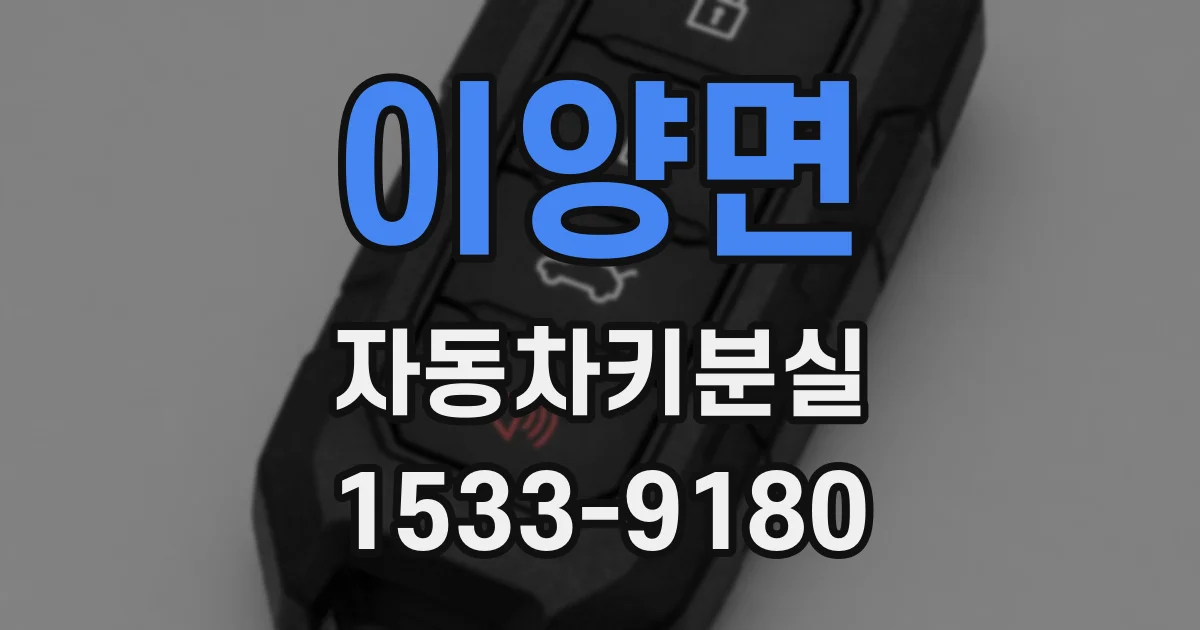 이양면 자동차키분실