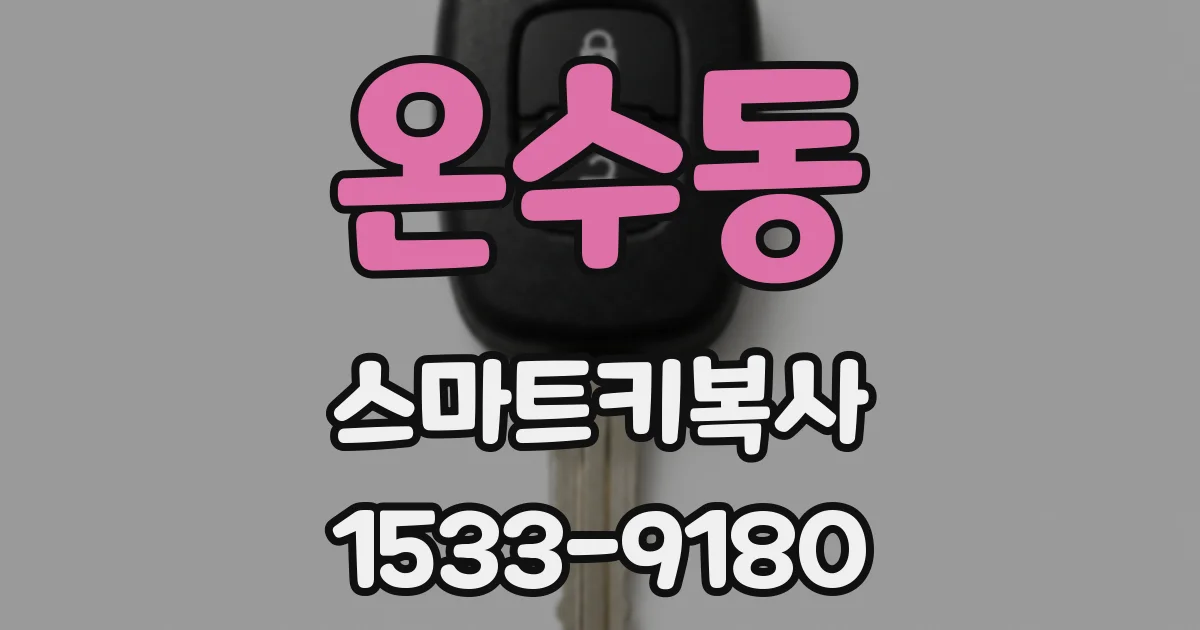 온수동 스마트키복사