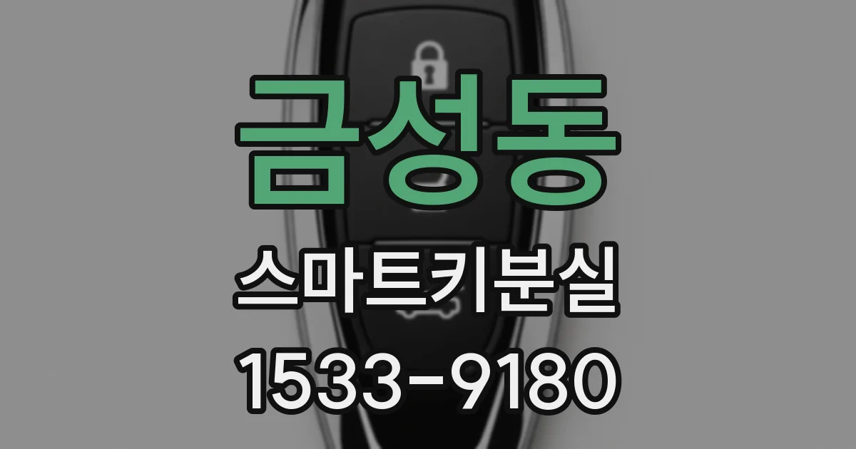 금성동 스마트키분실