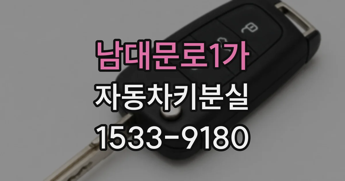 남대문로1가 자동차키분실