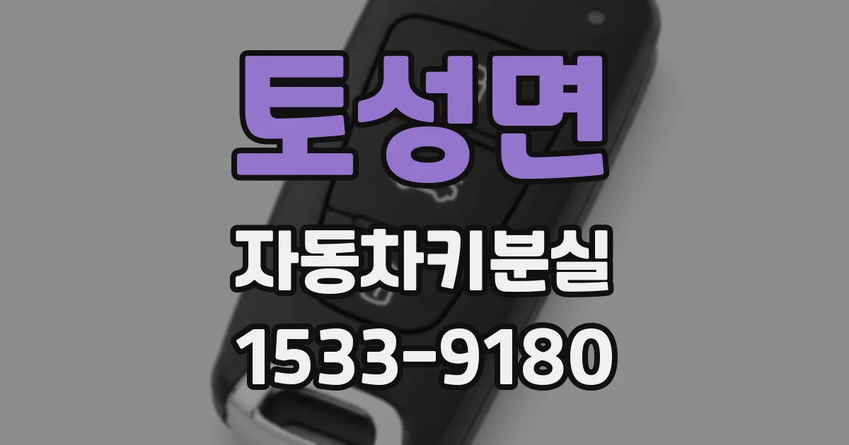 토성면 자동차키분실