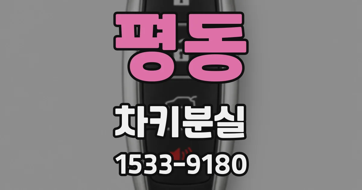 평동 차키분실