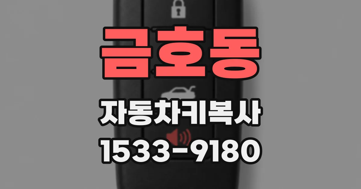금호동 자동차키복사