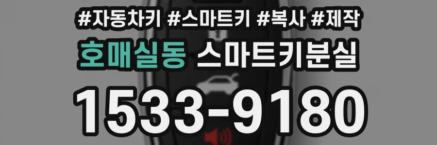 호매실동 스마트키분실
