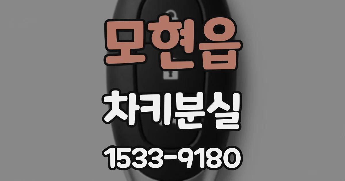 모현읍 차키분실