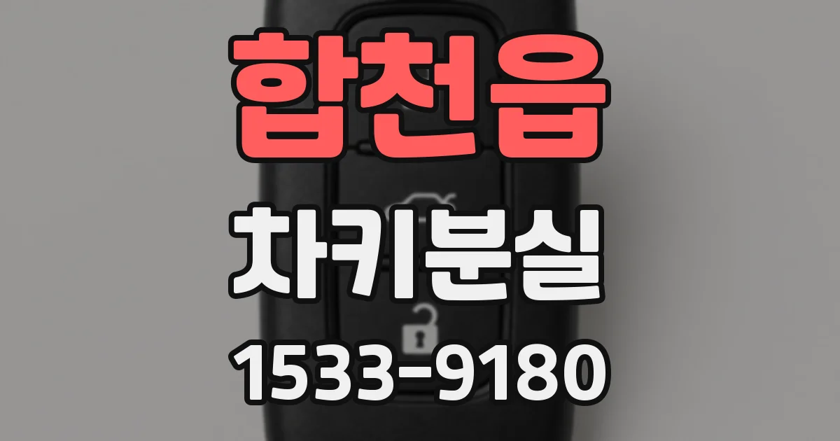 합천읍 차키분실