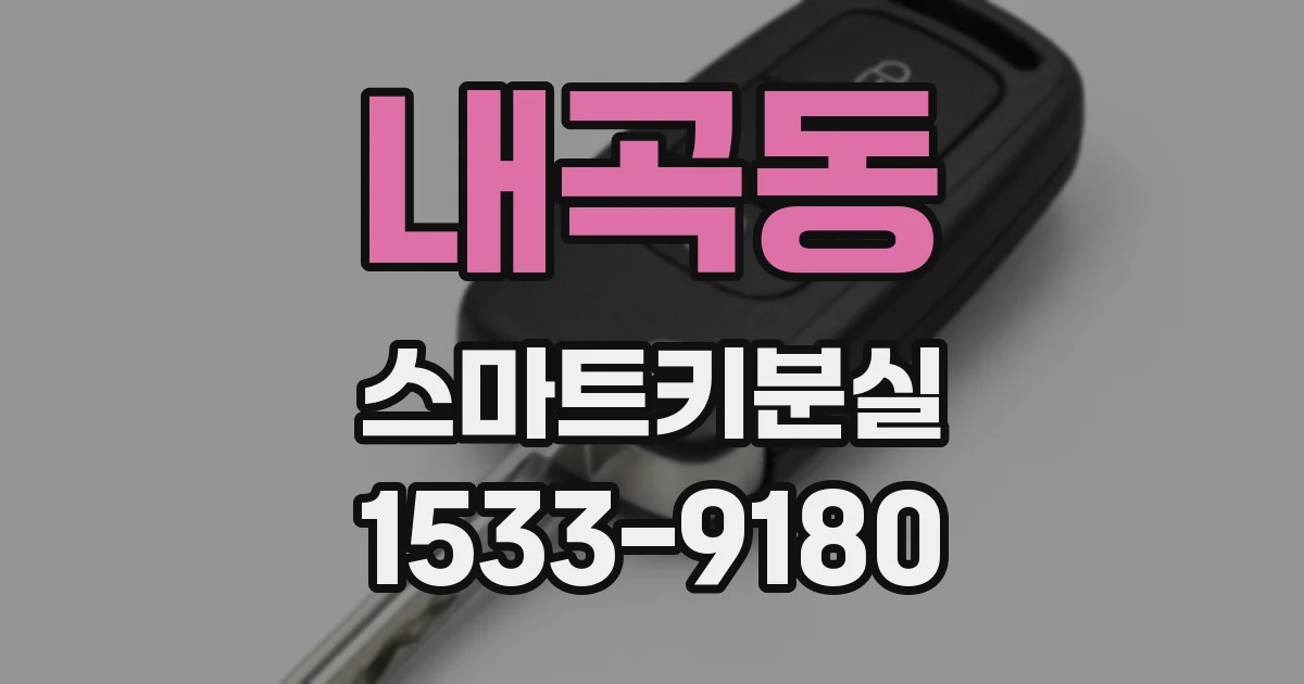 내곡동 스마트키분실