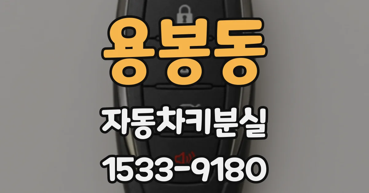 용봉동 자동차키분실