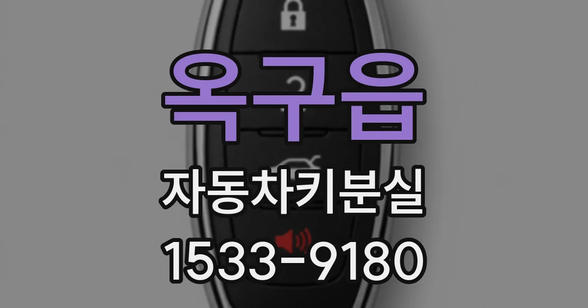 옥구읍 자동차키분실