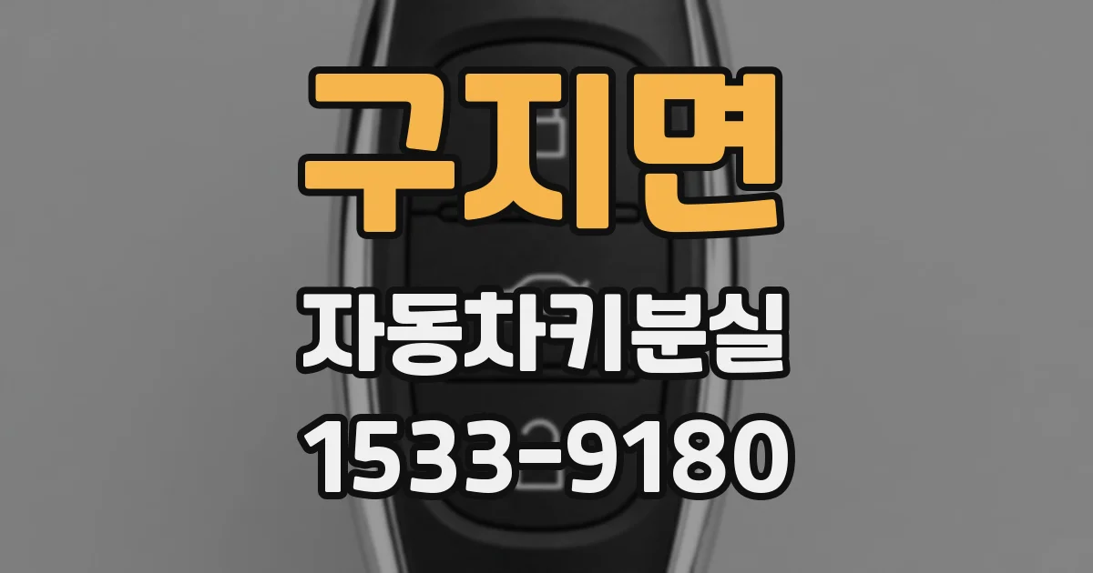 구지면 자동차키분실