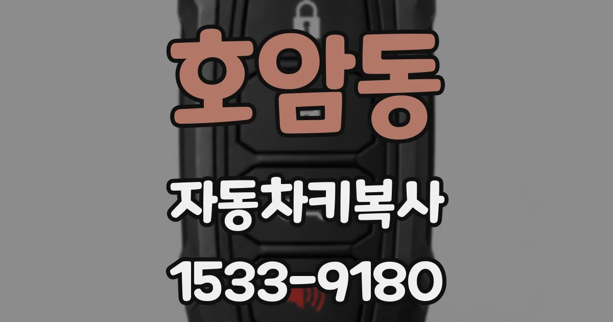 호암동 자동차키복사