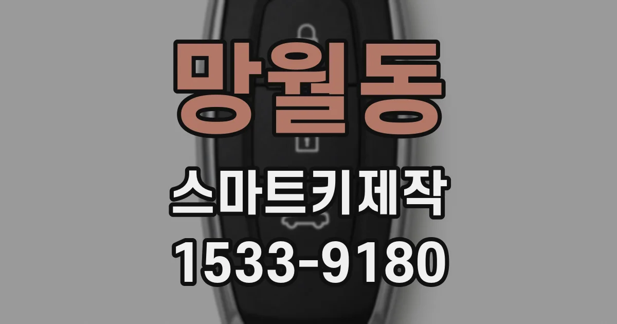 망월동 스마트키제작