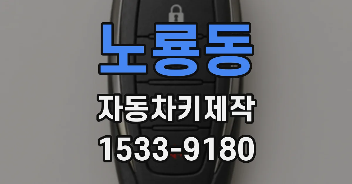 노룡동 자동차키제작