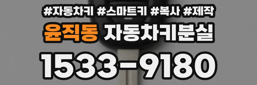 윤직동 자동차키분실