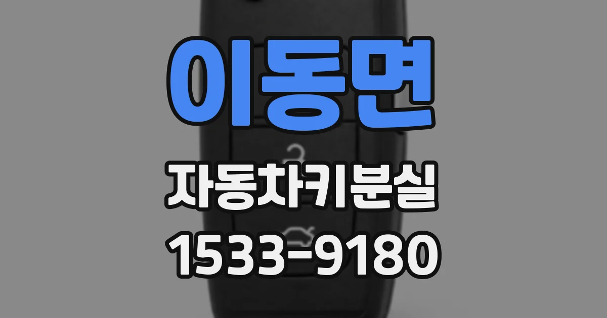 이동면 자동차키분실