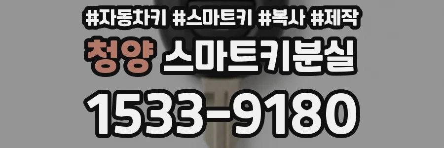청양 스마트키분실