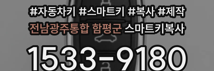 전남광주통합 함평군 스마트키복사