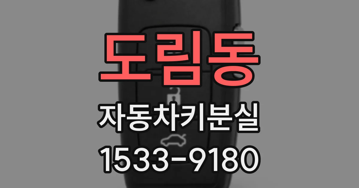 도림동 자동차키분실