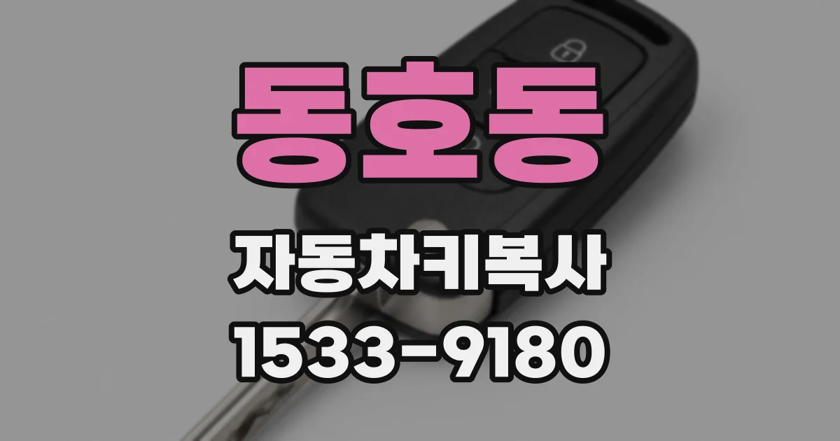 동호동 자동차키복사