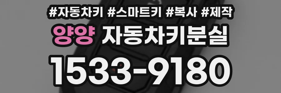 양양 자동차키분실
